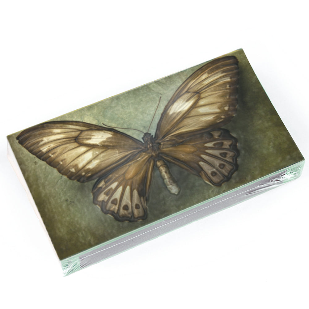 Butterfly Matches