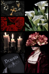 Dracula (Calla Lily + Earth)