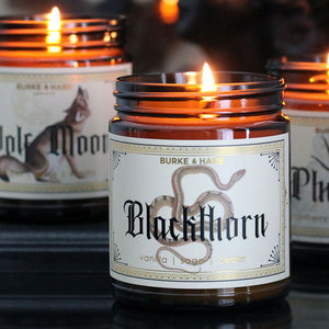 Spooky Fall Bundle