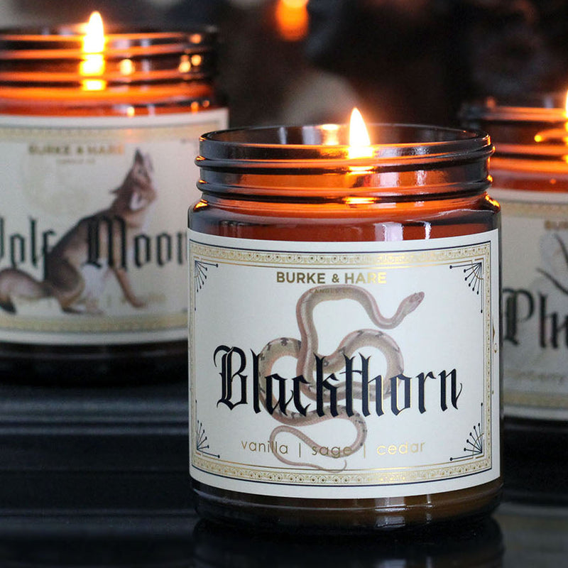 Spooky Fall Bundle
