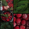 Midwinter (Berry + Pine)